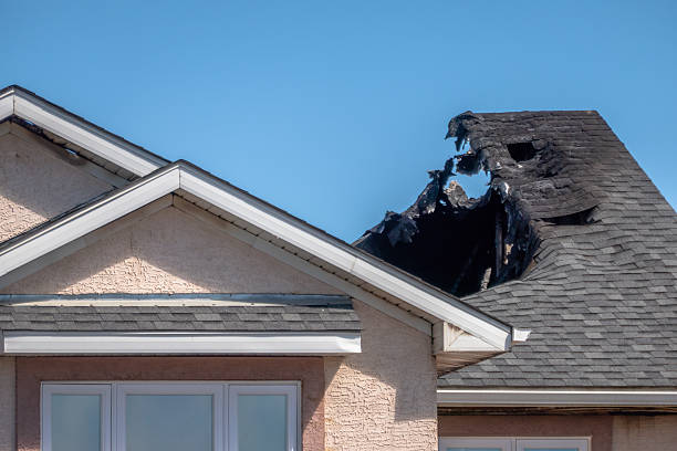 Top rated local Odor Removal specialists in Warrington, PA